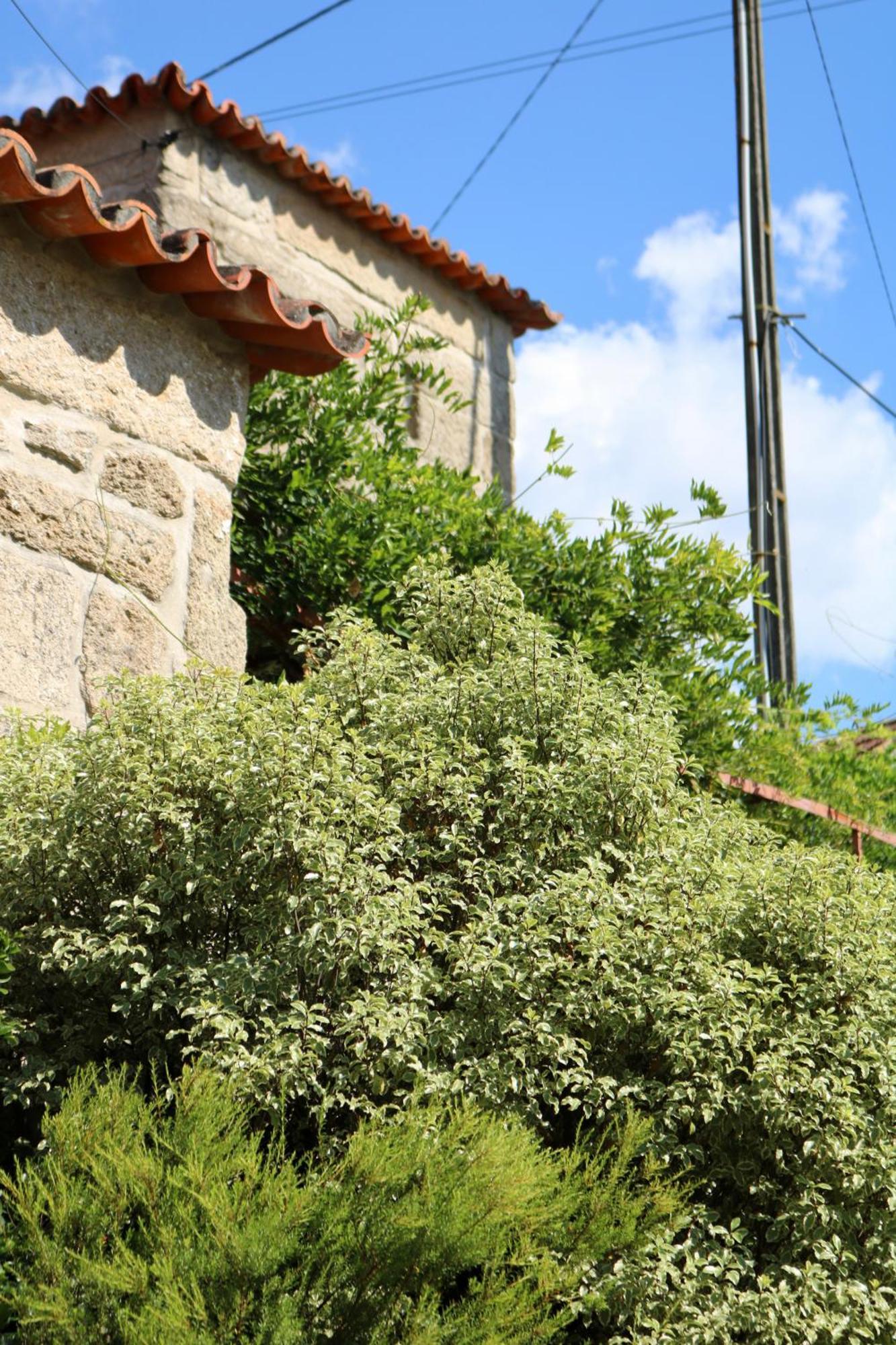 Casa Da Eira Villa Marco de Canavezes Buitenkant foto